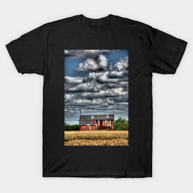 The Grain Barn T-Shirt by Nigdaw